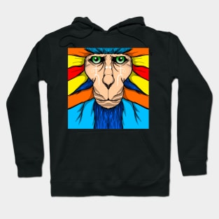 Monkey colorful Hoodie